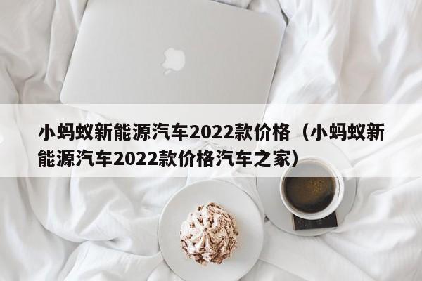 小蚂蚁新能源汽车2022款价格（小蚂蚁新能源汽车2022款价格汽车之家）