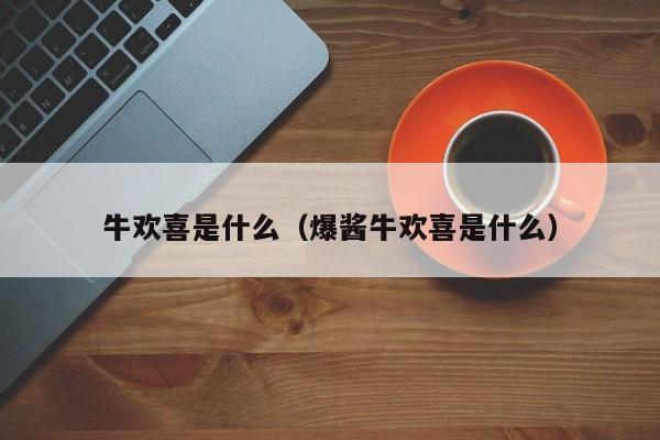 牛欢喜是什么（爆酱牛欢喜是什么）