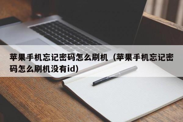 苹果手机忘记密码怎么刷机（苹果手机忘记密码怎么刷机没有id）