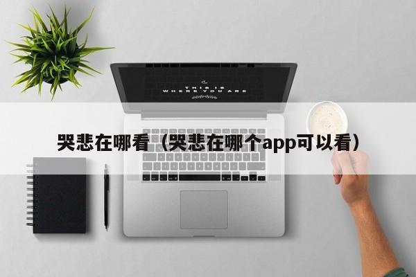 哭悲在哪看（哭悲在哪个app可以看）