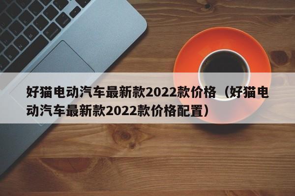 好猫电动汽车最新款2022款价格（好猫电动汽车最新款2022款价格配置）