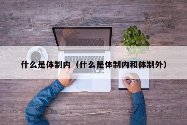 什么是体制内（什么是体制内和体制外）