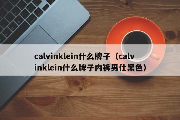 calvinklein什么牌子（calvinklein什么牌子内裤男仕黑色）