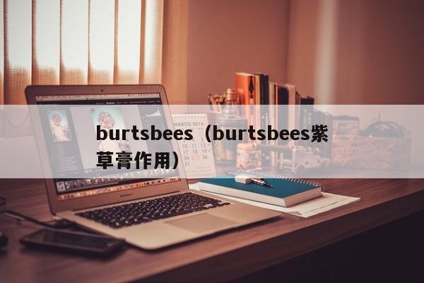 burtsbees（burtsbees紫草膏作用）