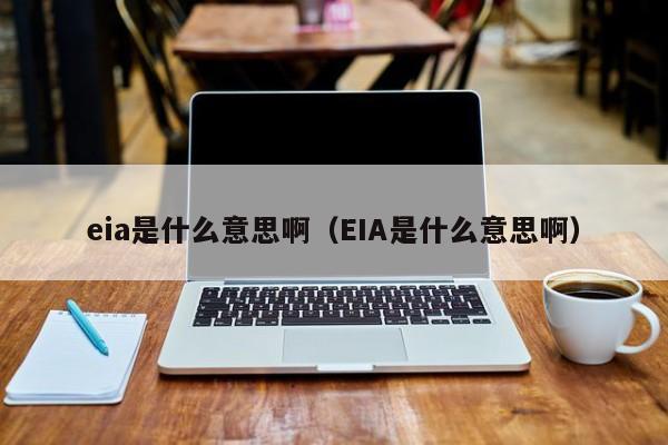 eia是什么意思啊（EIA是什么意思啊）