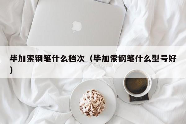 毕加索钢笔什么档次（毕加索钢笔什么型号好）