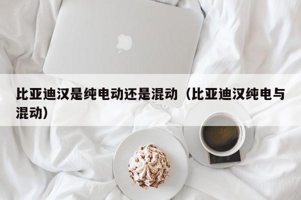 比亚迪汉是纯电动还是混动（比亚迪汉纯电与混动）