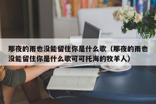 那夜的雨也没能留住你是什么歌（那夜的雨也没能留住你是什么歌可可托海的牧羊人）