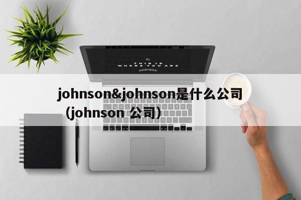 johnson&johnson是什么公司（johnson 公司）