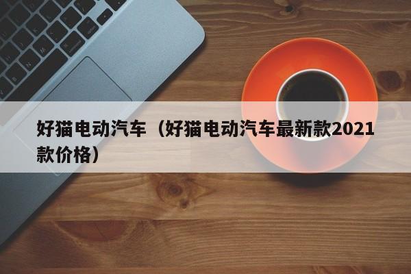 好猫电动汽车（好猫电动汽车最新款2021款价格）