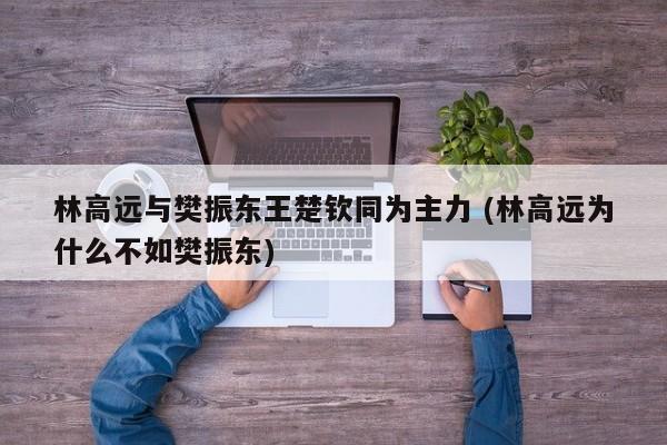 林高远与樊振东王楚钦同为主力 (林高远为什么不如樊振东)