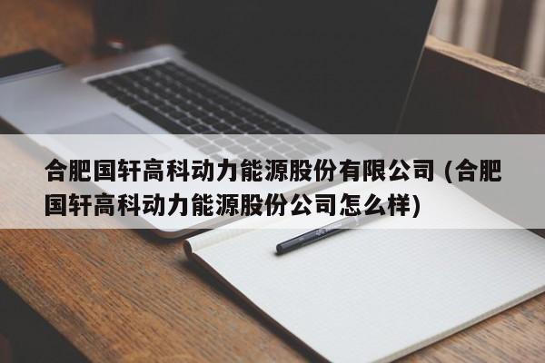 合肥国轩高科动力能源股份有限公司 (合肥国轩高科动力能源股份公司怎么样)