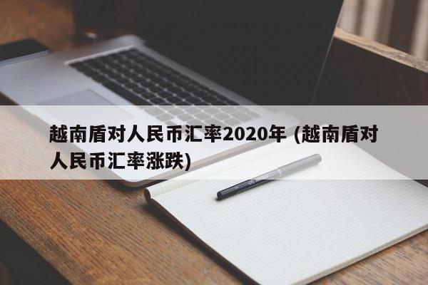 越南盾对人民币汇率2020年 (越南盾对人民币汇率涨跌)