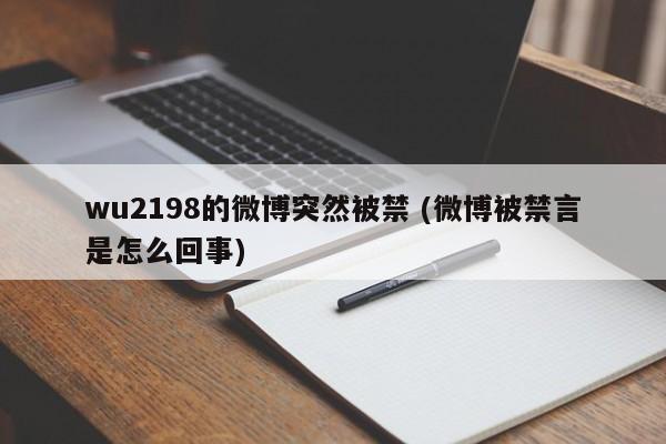 wu2198的微博突然被禁 (微博被禁言是怎么回事)