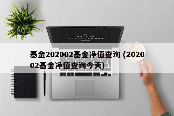 基金202002基金净值查询 (202002基金净值查询今天)