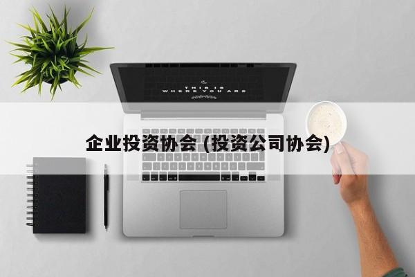 企业投资协会 (投资公司协会)