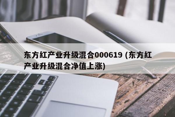 东方红产业升级混合000619 (东方红产业升级混合净值上涨)