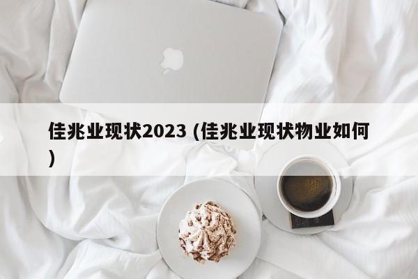 佳兆业现状2023 (佳兆业现状物业如何)