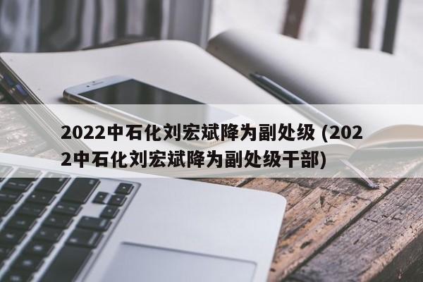 2022中石化刘宏斌降为副处级 (2022中石化刘宏斌降为副处级干部)