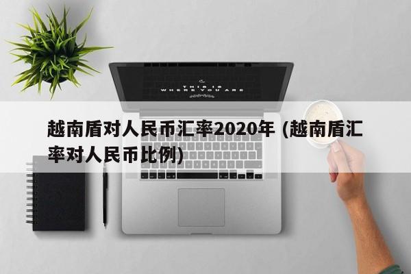 越南盾对人民币汇率2020年 (越南盾汇率对人民币比例)