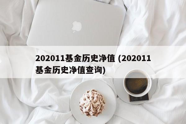 202011基金历史净值 (202011基金历史净值查询)