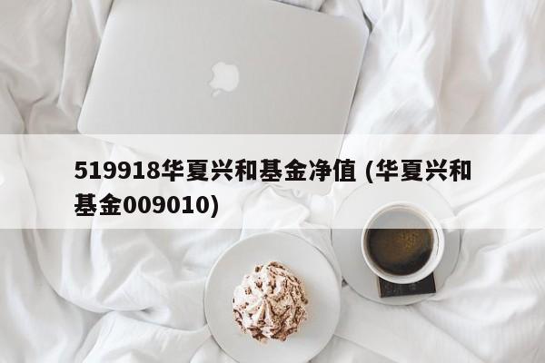 519918华夏兴和基金净值 (华夏兴和基金009010)