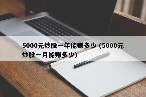 5000元炒股一年能赚多少 (5000元炒股一月能赚多少)