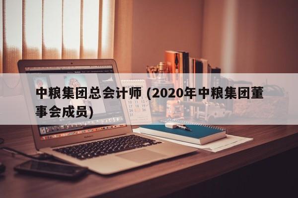 中粮集团总会计师 (2020年中粮集团董事会成员)