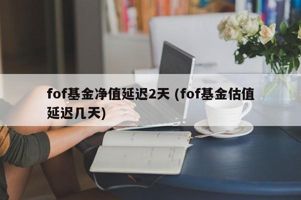 fof基金净值延迟2天 (fof基金估值延迟几天)