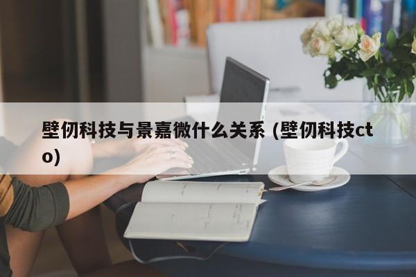 壁仞科技与景嘉微什么关系 (壁仞科技cto)